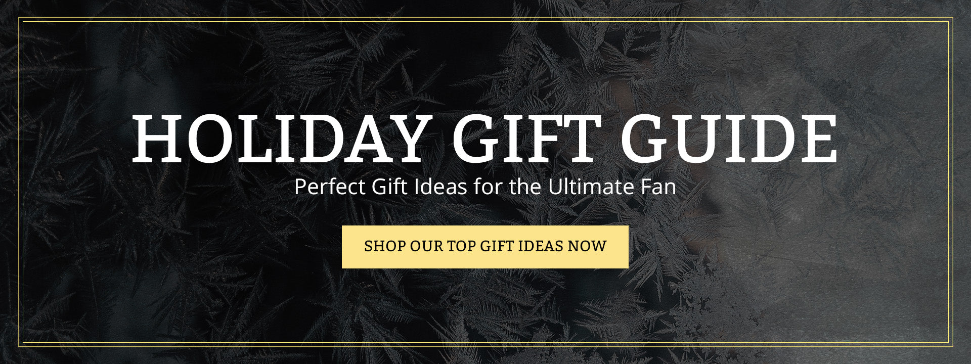 Check Out Our Holiday Gift Guide!